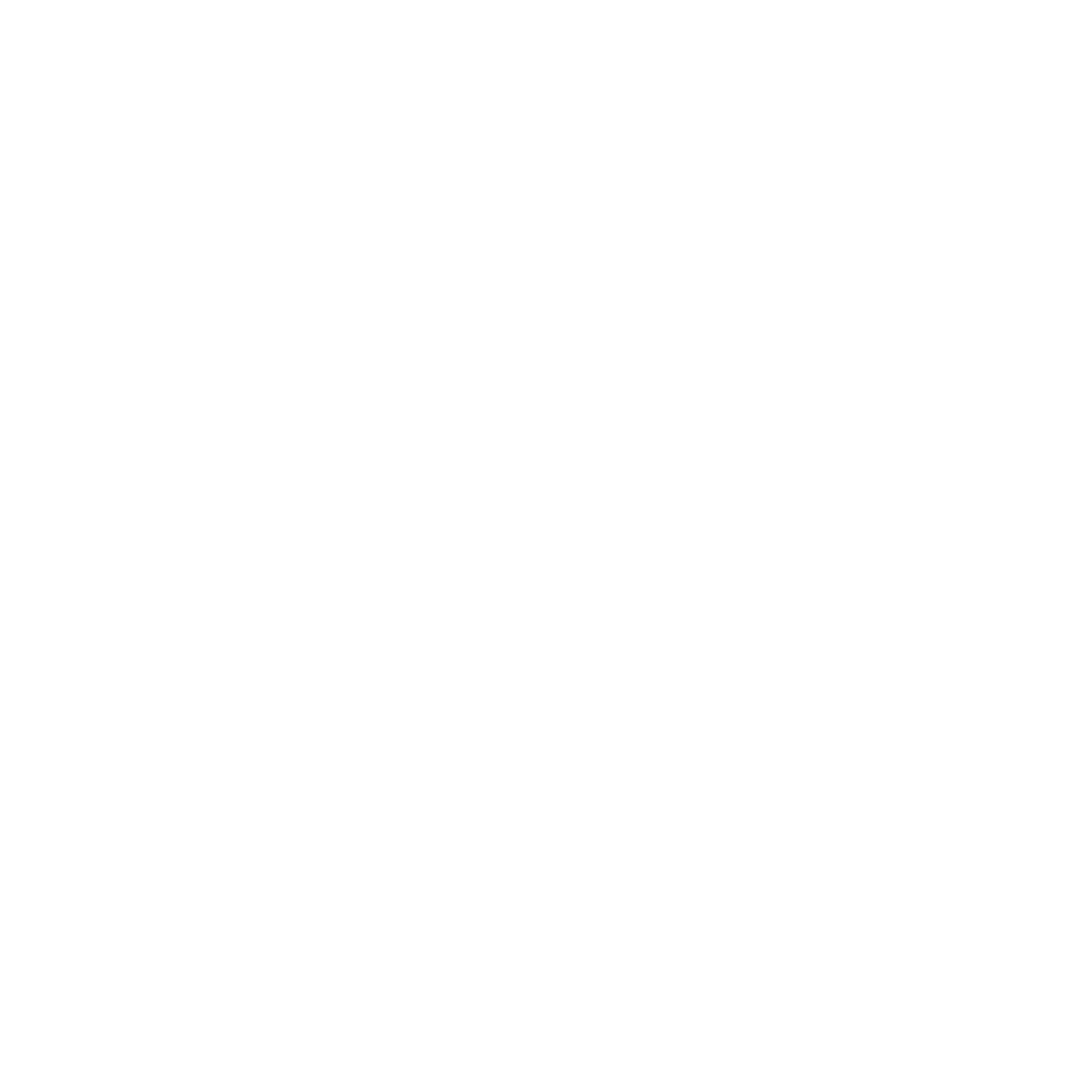 YSI Logo